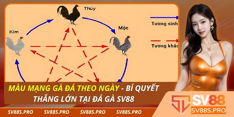 Màu Mạng Gà Đá Theo Ngày